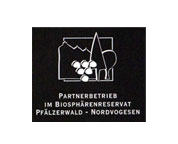 Near our hotel in Kaiserslautern you can go mountainbiking in the forest.